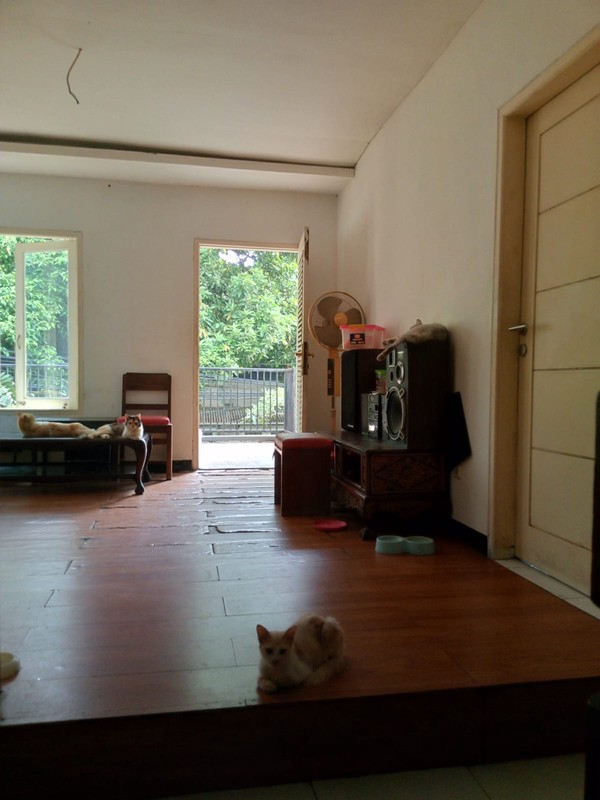 Dijual Rumah Lokasi Bagus Bebas Banjir Di Jl Pinang Emas Pondok Indah, Jakarta Selatan