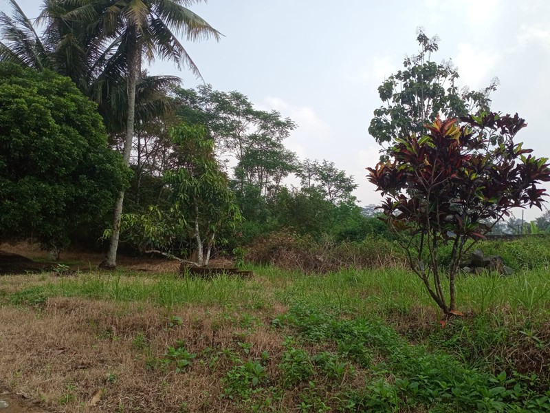 Tanah Kavling Luas 1.780 Meter Persegi Di Jalan Utama Mendono, Temanggung, Cocok Untuk Investasi & Bisnis