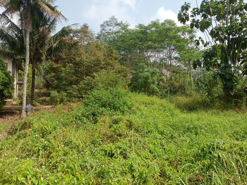 Tanah Kavling Luas 1.780 Meter Persegi Di Jalan Utama Mendono, Temanggung, Cocok Untuk Investasi & Bisnis