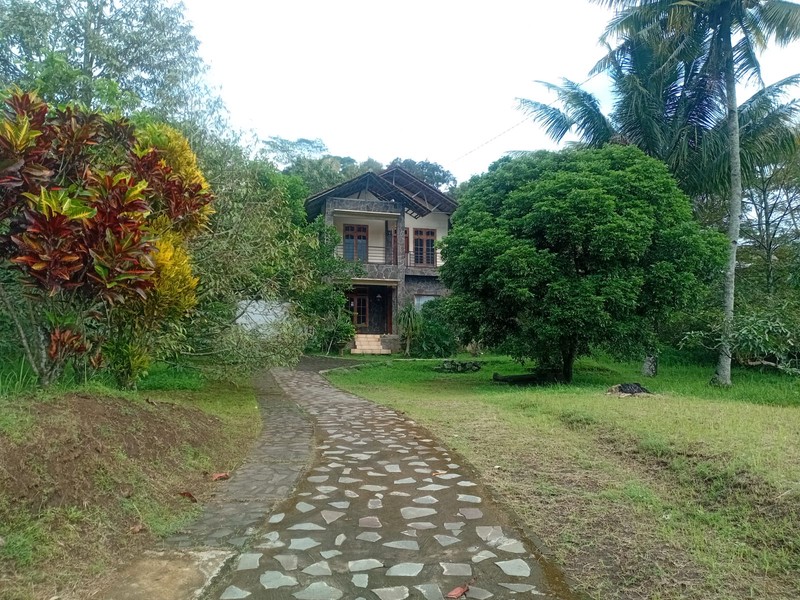 Tanah Kavling Luas 1.780 Meter Persegi Di Jalan Utama Mendono, Temanggung, Cocok Untuk Investasi & Bisnis