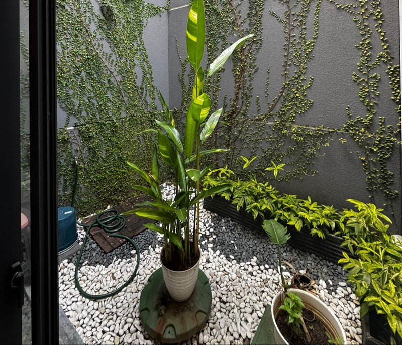 Rumah Cantik Di Daerah Bintaro