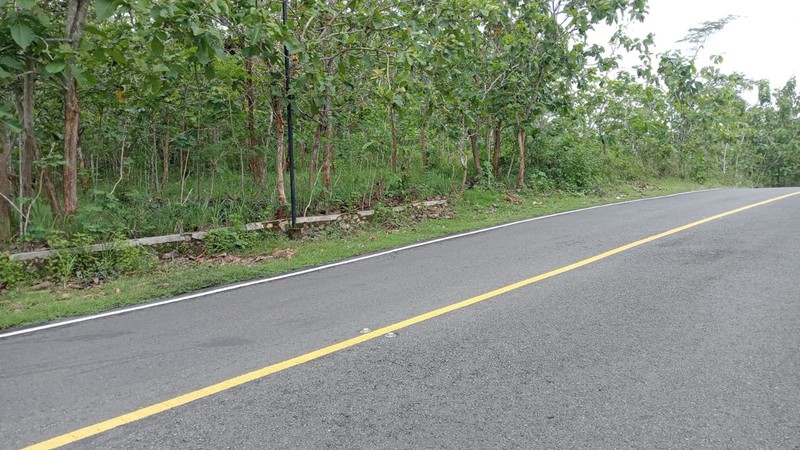 Tanah Tegal Luas 4121 Meter Persegi Lokasi Giriwungu - Panggang Gunung Kidul 