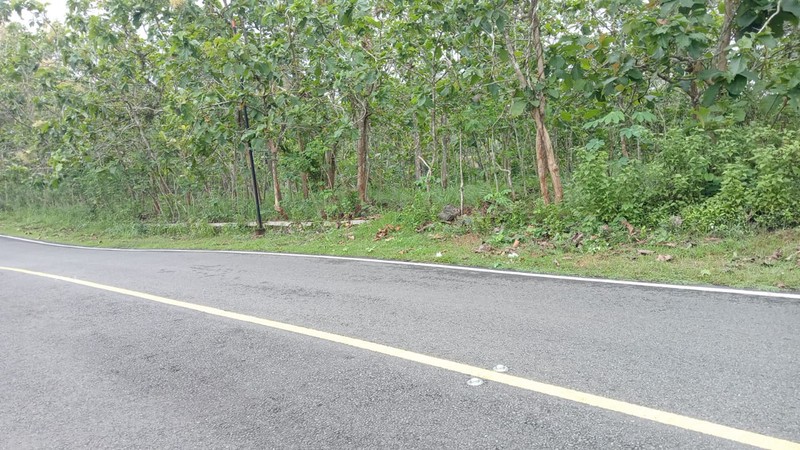 Tanah Tegal Luas 4121 Meter Persegi Lokasi Giriwungu - Panggang Gunung Kidul 