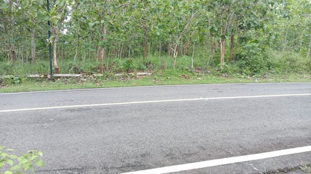 Tanah Tegal Luas 4121 Meter Persegi Lokasi Giriwungu - Panggang Gunung Kidul 