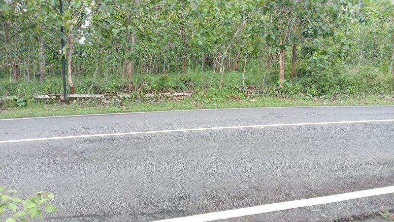 Tanah Tegal Luas 4121 Meter Persegi Lokasi Giriwungu - Panggang Gunung Kidul 