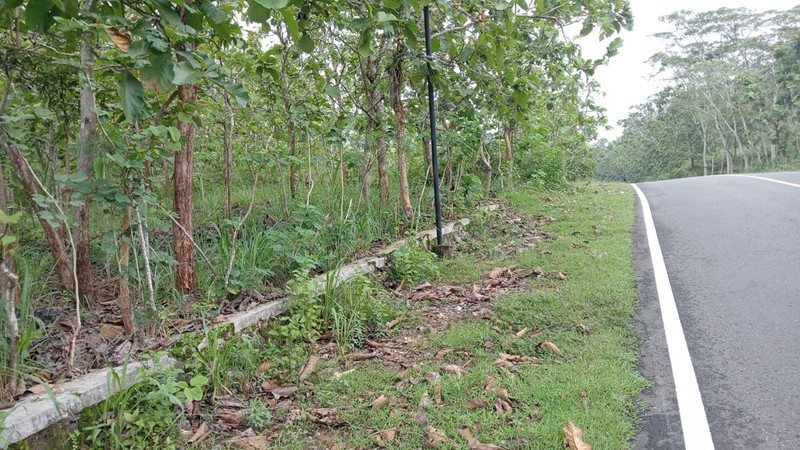 Tanah Tegal Luas 4121 Meter Persegi Lokasi Giriwungu - Panggang Gunung Kidul 