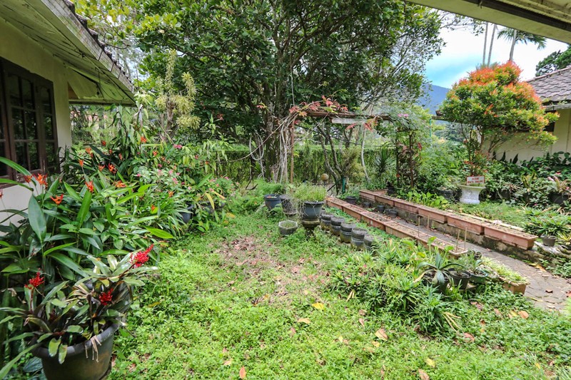 Villa klasik luas di Cimacan Cipanas akses dari Bogor Sentul City