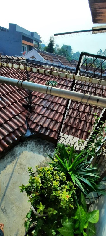 Rumah 1 Lantai Di Buana Gardenia Pinang Kota Tangerang