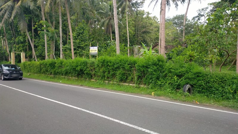 Jual Tanah Siap Bangun Strategis di Kembang, Nanggulan, Kulon Progo 