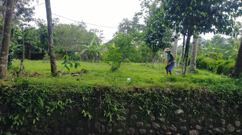 Jual Tanah Siap Bangun Strategis di Kembang, Nanggulan, Kulon Progo 