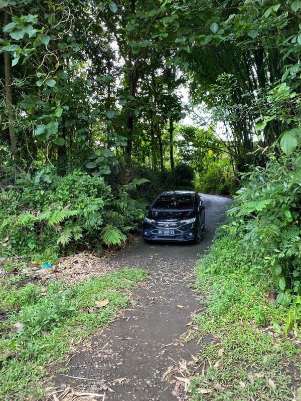 Investasi Tanah Luas 1397 Meter Persegi di Tuksongo, Borobudur, Magelang - Hanya 2.5 km dari Candi Borobudur