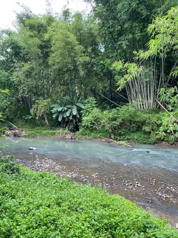 Investasi Tanah Luas 1397 Meter Persegi di Tuksongo, Borobudur, Magelang - Hanya 2.5 km dari Candi Borobudur