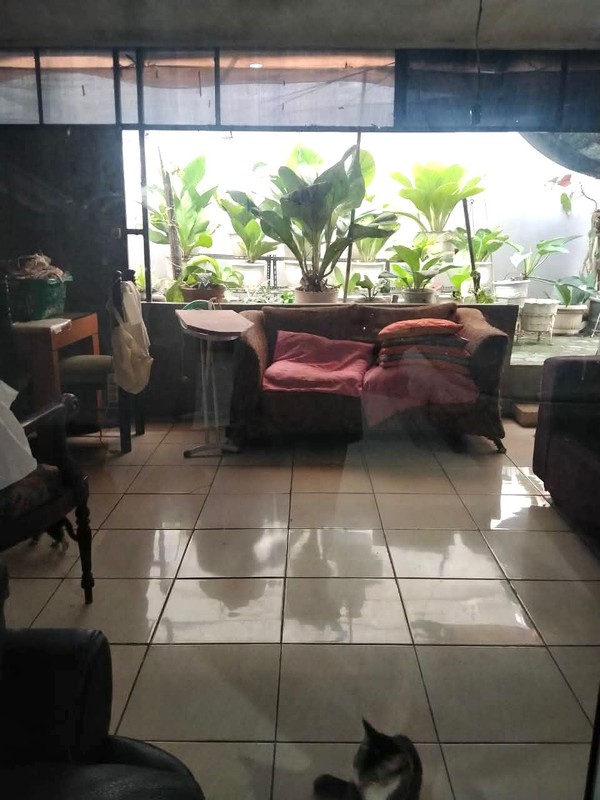 Rumah Bagus Di Graha Hijau Ciputat Tangerang Selatan