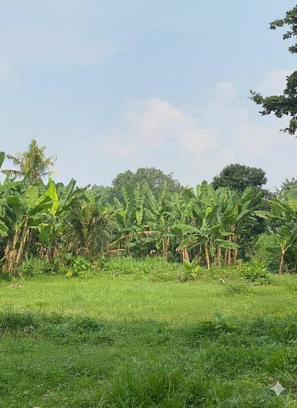 Tanah Cocok Dibangun Cluster