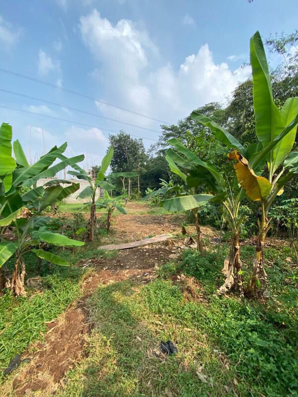 Tanah Cocok Dibangun Cluster