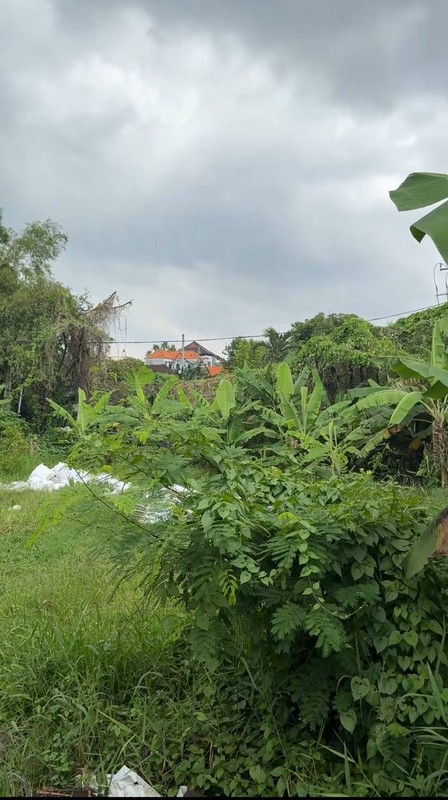 RARE PLOT LAND FOR LEASE IN SEMINYAK