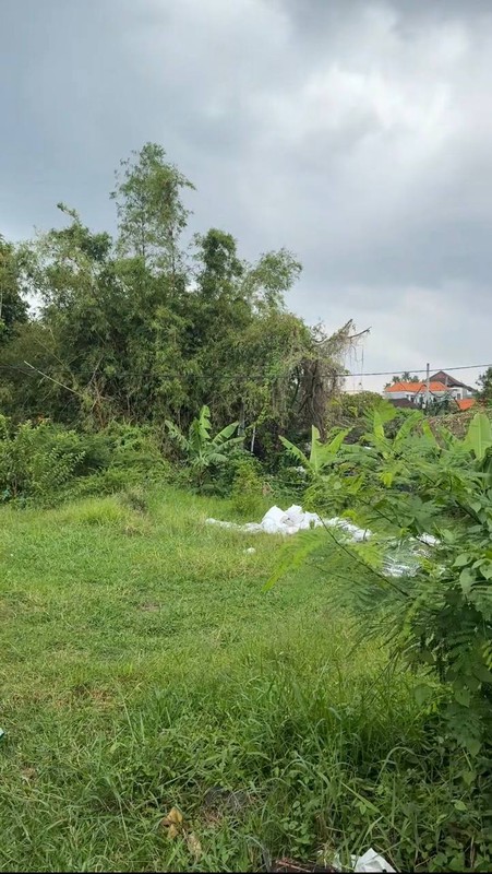 RARE PLOT LAND FOR LEASE IN SEMINYAK