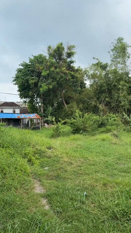 RARE PLOT LAND FOR LEASE IN SEMINYAK