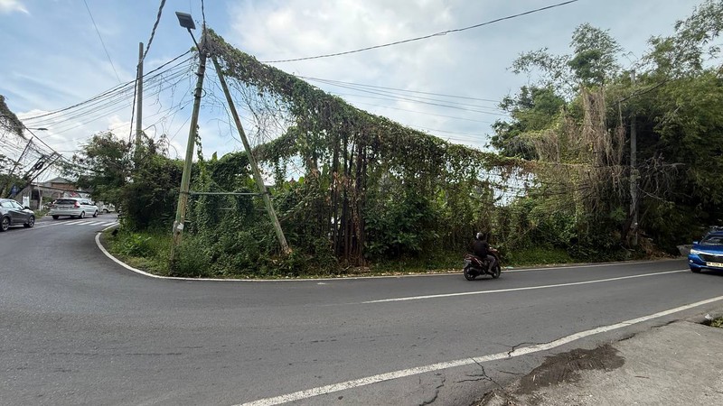 RARE PLOT LAND FOR LEASE IN SEMINYAK