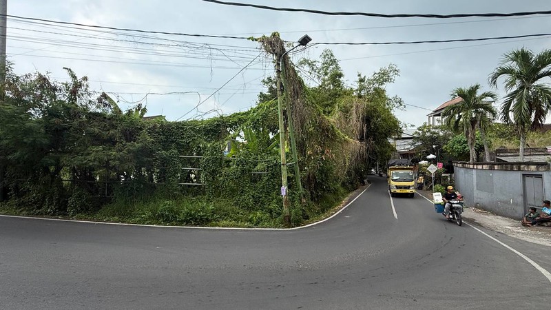 RARE PLOT LAND FOR LEASE IN SEMINYAK