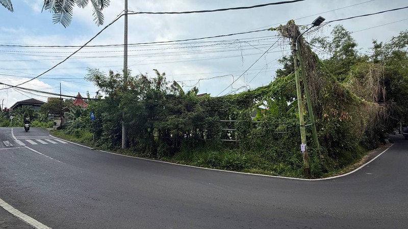 RARE PLOT LAND FOR LEASE IN SEMINYAK