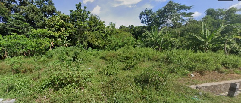 Tanah Luas 2450 Meter Persegi Lokasi Strateis & Potensial di Purwomartani Sleman 