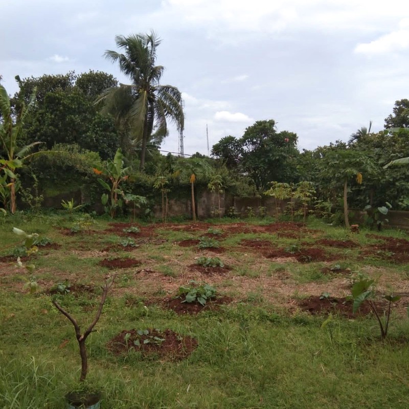 Rumah Tua Hitung Tanah area Jl WR Supratman, Ciputat Timur, Tangerang Selatan.