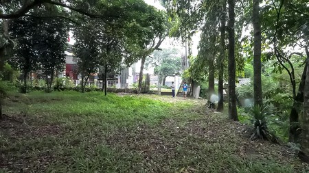 DIJUAL TANAH KEBUN DI JALAN ARCO RAYA.