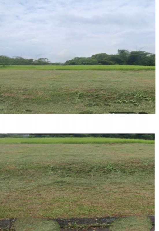 Kavling tanah Citra Garden Cluster Royal Teluk Betng Barat Bandarlampung