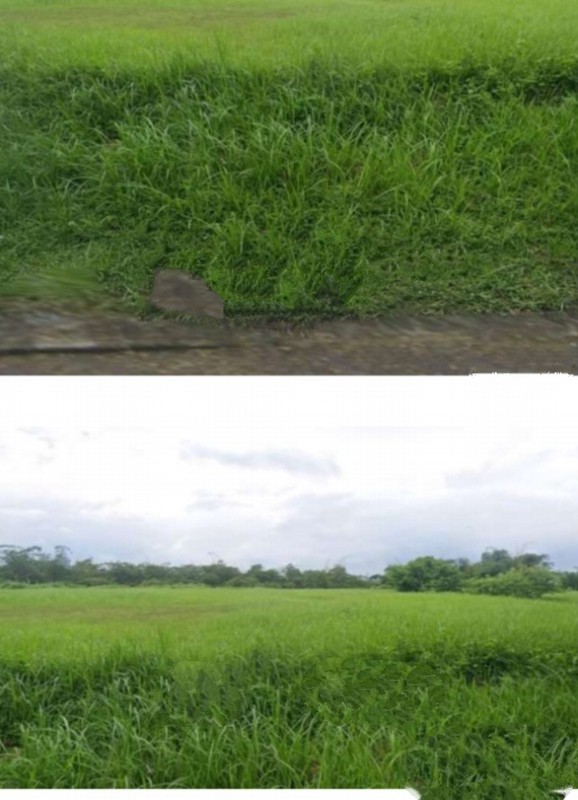 Kavling tanah Citra Garden Cluster Royal Teluk Betng Barat Bandarlampung