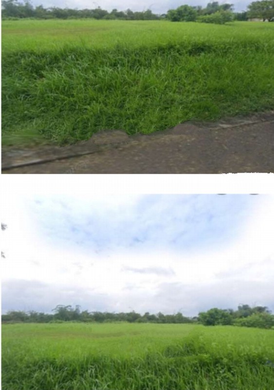 Kavling tanah Citra Garden Cluster Royal Teluk Betng Barat Bandarlampung