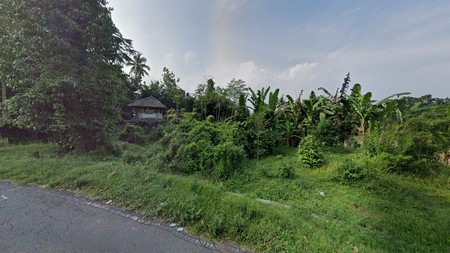 Jual Tanah Pekarangan Luas 3.642 Meter Persegi di Turi, Sleman - Cocok untuk Kebun, Resort, atau Villa