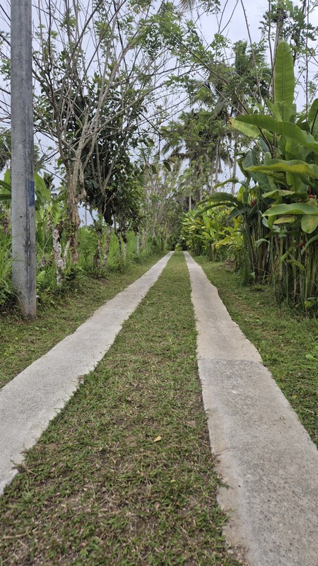 For Sale Beautiful Villa in Sebatu, Tegalalang - Near Ubud