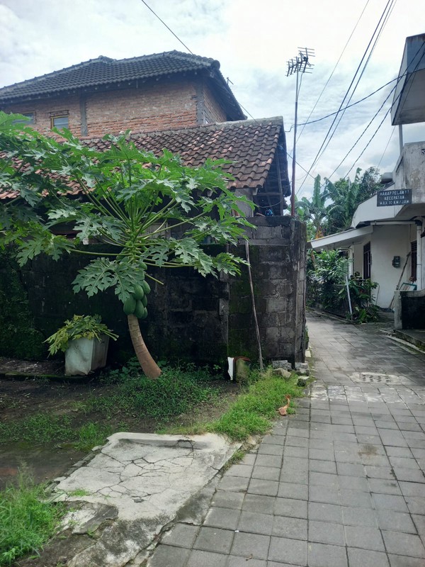Rumah Di Jogja Kota, Lokasi Strategis Tegalrejo - Harga Nego