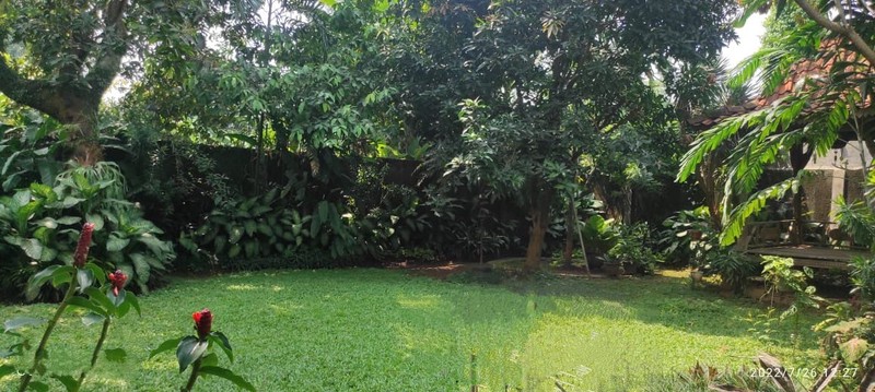 Rumah Bagus Di Jl Jeruk Purut Dalam Pasar Minggu Jakarta Selatan