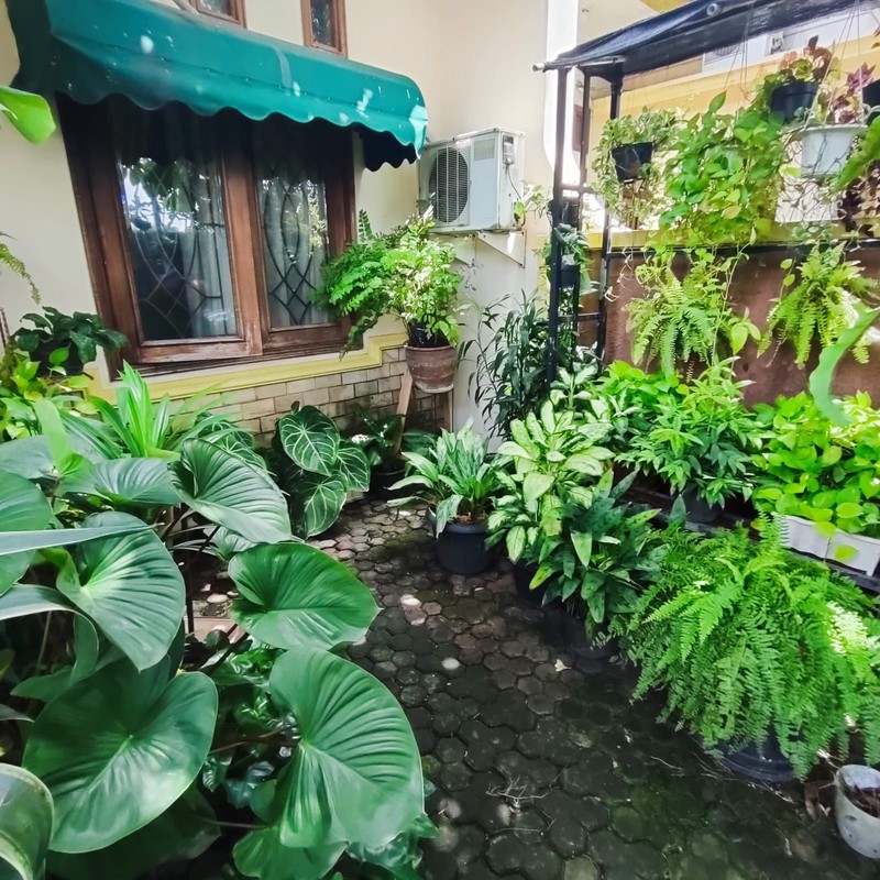 Rumah Bagus Di Komp Pribadi, Jl Raya Condet Jakarta Timur