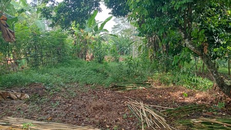 Dijual Tanah Pekarangan Lokasi di Daerah Batang - Jawa Tengah 