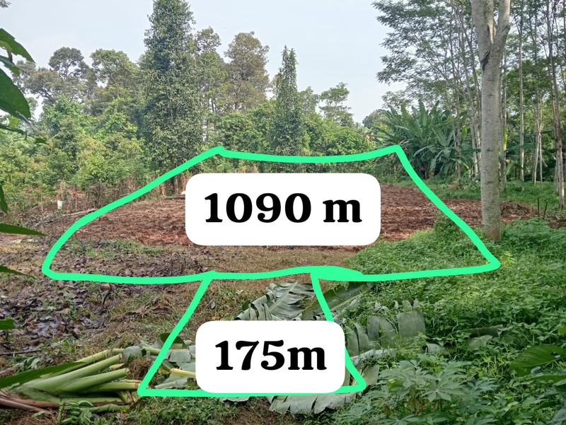 Dijual Tanah Pekarangan Lokasi di Daerah Batang - Jawa Tengah 