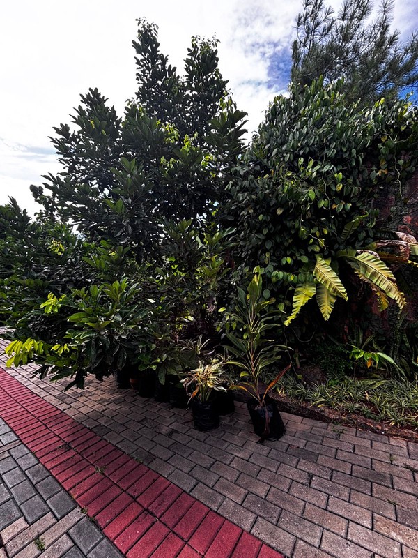 Rumah Bagus Di Jl Raya PDK Pamulang Tangerang Selatan