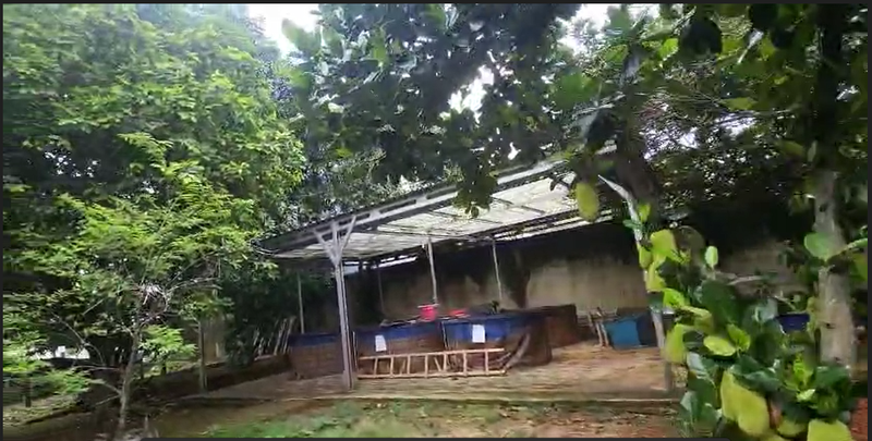 Kavling Commercial Area Lengkong Gudang BSD Tangerang