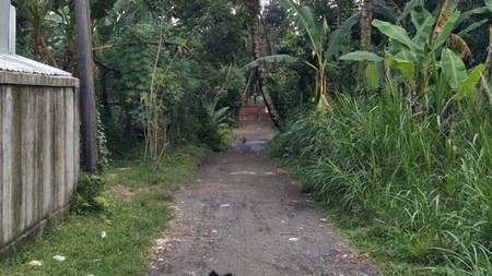 Land Freehold In Payangan Ubud Bali