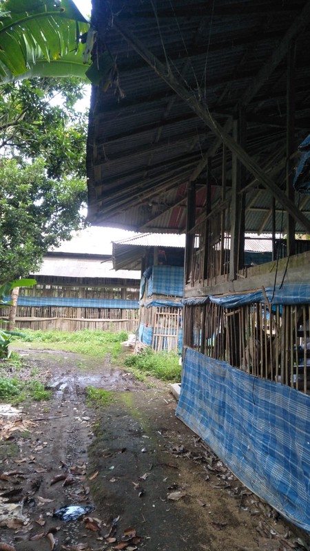 Land Freehold In Payangan Ubud Bali