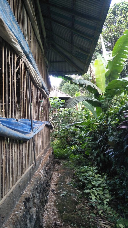 Land Freehold In Payangan Ubud Bali