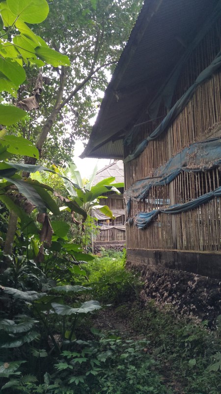 Land Freehold In Payangan Ubud Bali