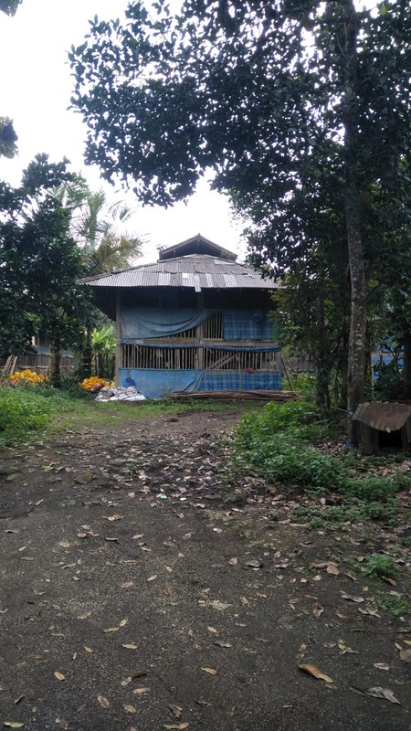 Land Freehold In Payangan Ubud Bali