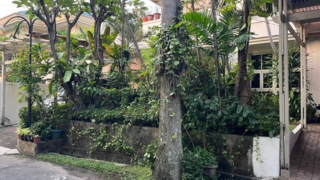 Rumah Cluster Nyaman Dan Adem Di Jati Padang, Pasar Minggu