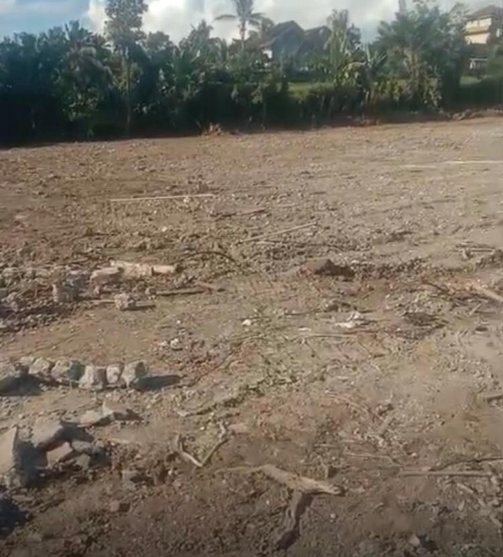 Land Freehold In Parean Tabanan Bali