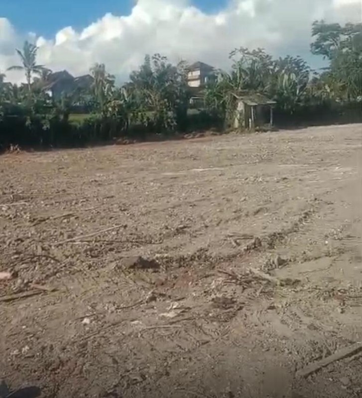 Land Freehold In Parean Tabanan Bali