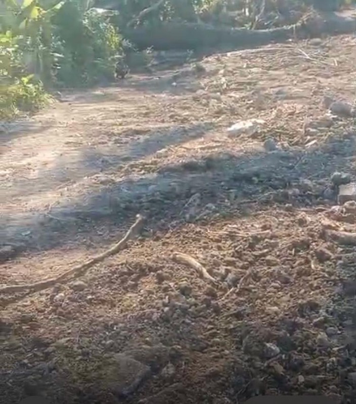 Land Freehold In Parean Tabanan Bali