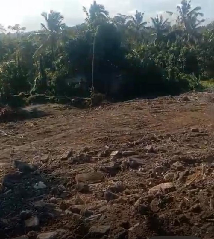 Land Freehold In Parean Tabanan Bali